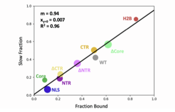 jonathanpkarr's tweet photo. This should definitely be done with other cofactors. Many are presumed to rely on "epigenetic reader domains" for their chromatin binding, but we suspect that that may not be the case. And SM imaging is not required to test this—the correlation with FRAP is perfect. https://t.co/qu2V4i1DkV