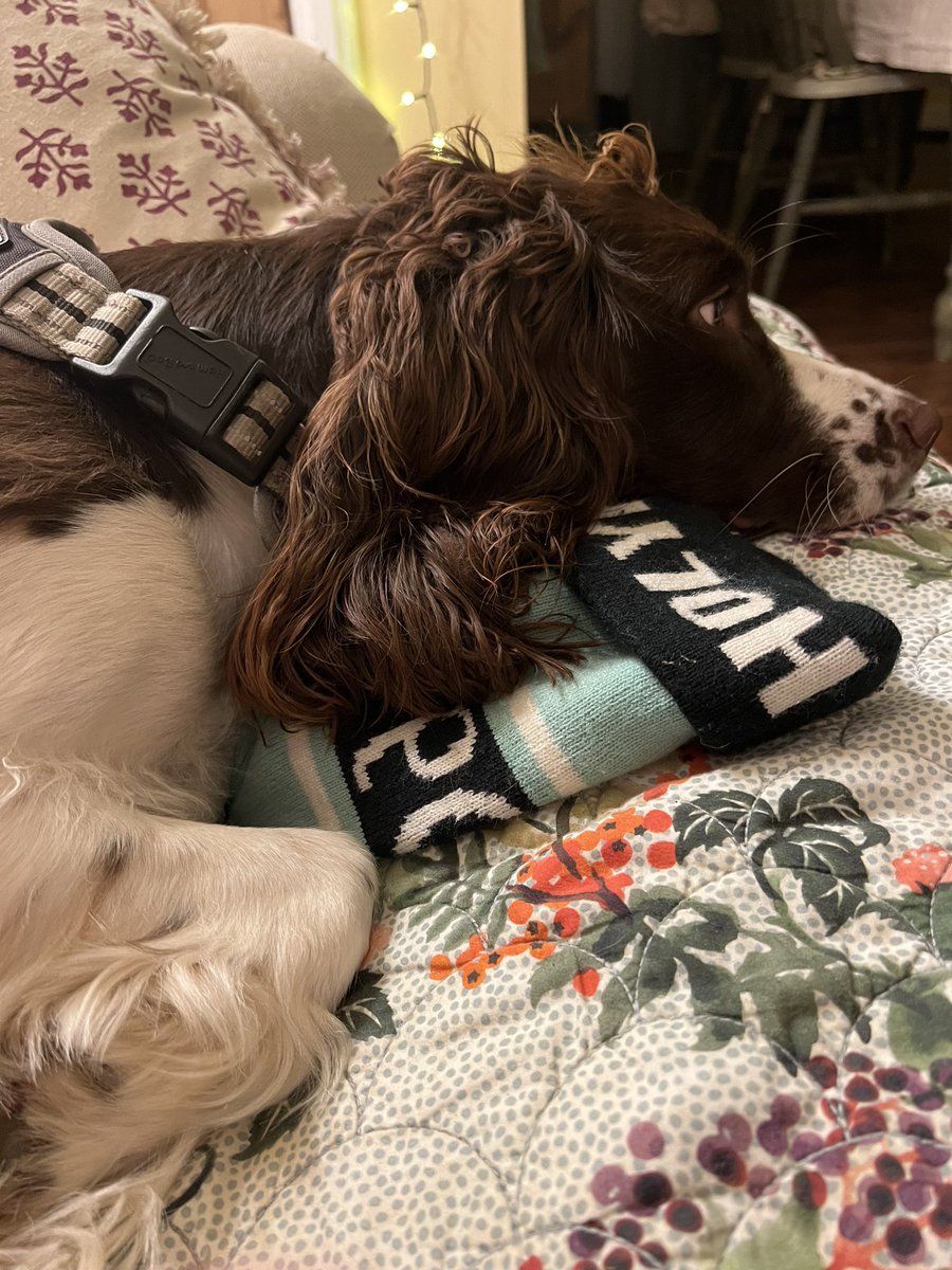 Ben McCarey | Holyport College tweet media