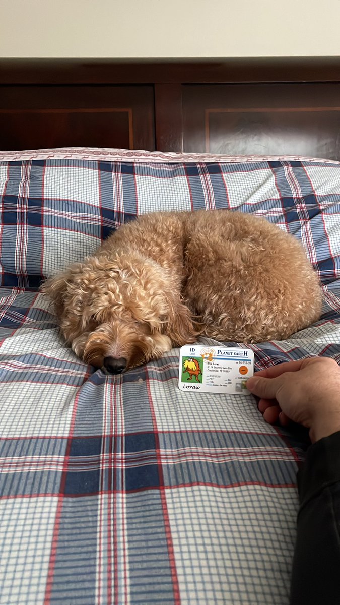 mjplovesapes's tweet photo. This is my dog Milo. He is an example of a k-strategist. When Milo was able to make babies, he would produce offspring with a female dog. The amount produced would be smaller because they take great care of their young. #apeseco @franklinlorax https://t.co/00cxK1hpYw