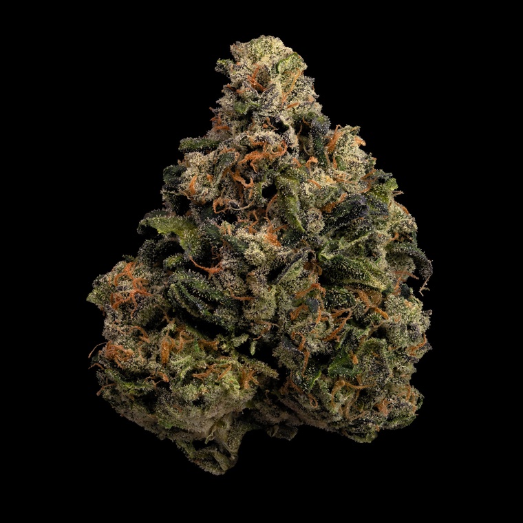 Slushee Beer
#StonerFam #420Life #CannabisCulture #WeedLover #weedforsale #cannabis #Cannabisforsale #bestcannabis #weed #marijuana #MMJ #Weedmob