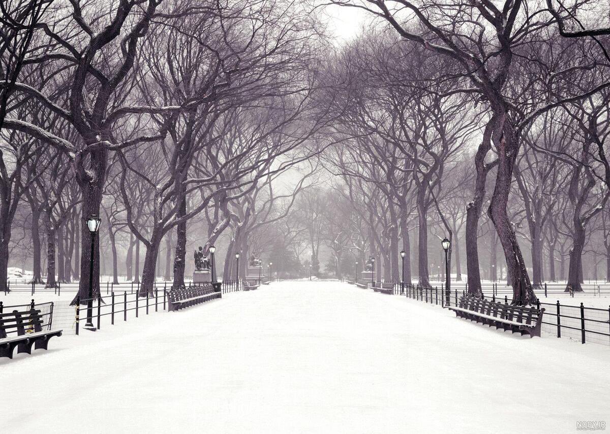 smiilee971's tweet photo. ❄️

دیر بماندم در این سرای کهن من
تا کهنم کرد صحبت دی و بهمن

ناصرخسرو https://t.co/P07rNiy9Qs