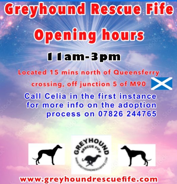 GreyhoundRFife tweet picture