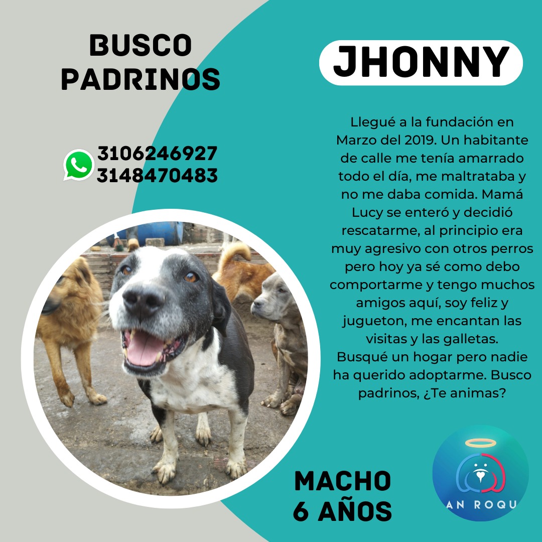 Este año inicia apadrinando un perrito sin hogar 🥹. Información en la última foto.
