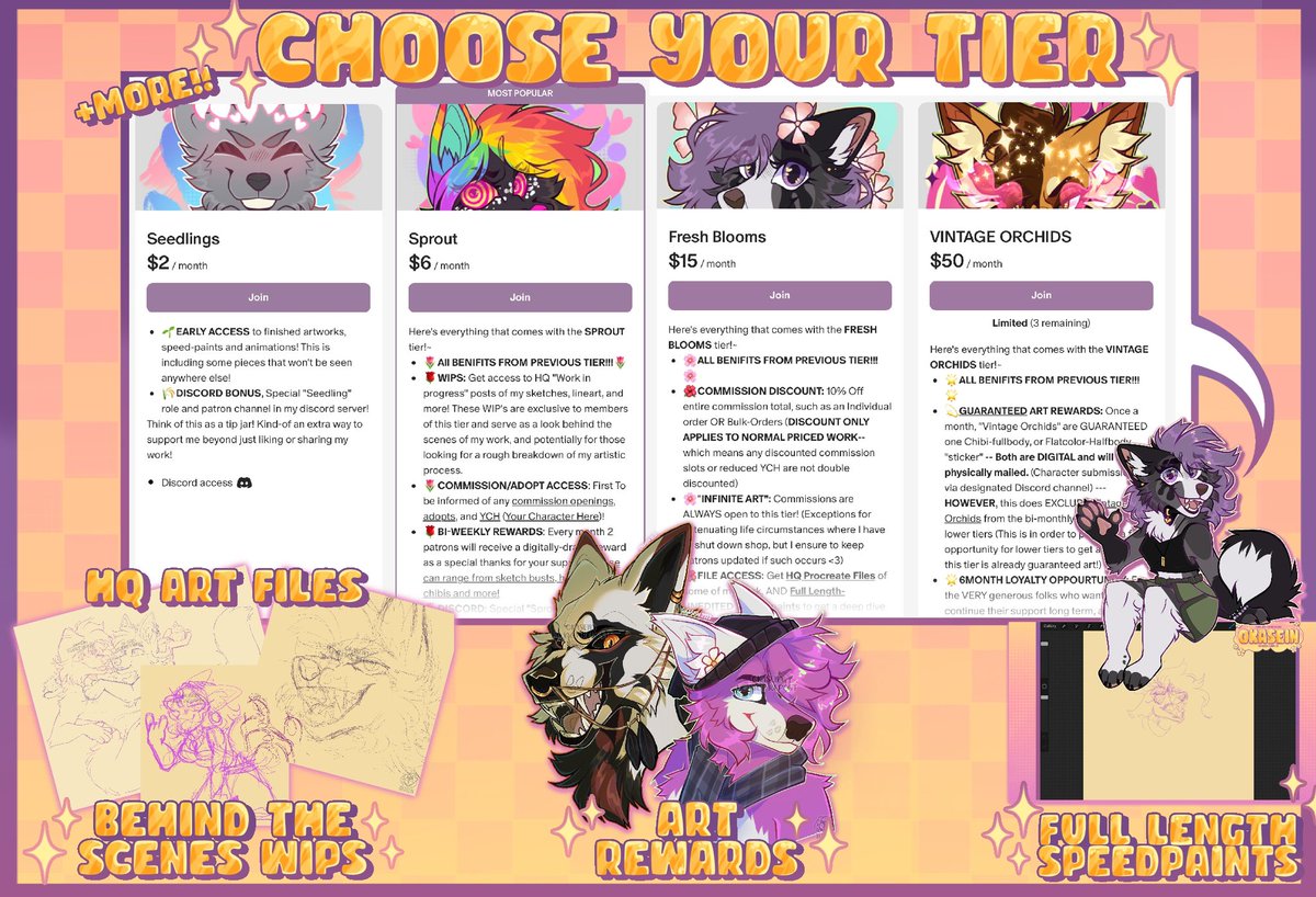okasein1's tweet photo. 🌸||Wether it be Behind the Scenes content, exclusive posts, FULL Speedpaint Videos, art rewards, or a community DISCORD SERVER- there’s a tier that will suit you! (2/3) https://t.co/VxisA7F6Hx