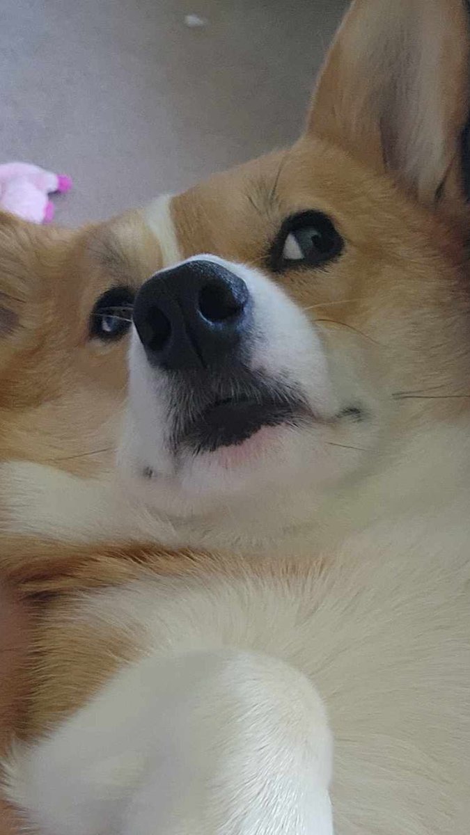 tinyelbows_'s tweet photo. Same tbh https://t.co/2IJW9yssPB