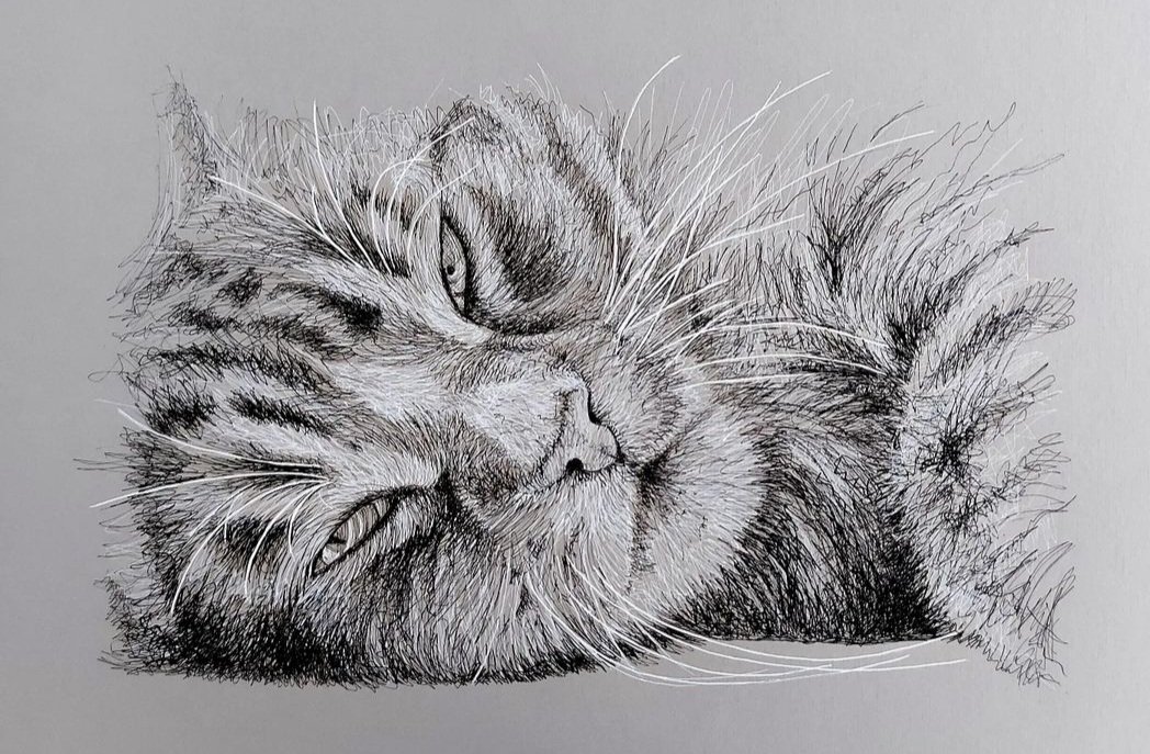 Cats 🖤
#penandink #originalart #drawing #cats