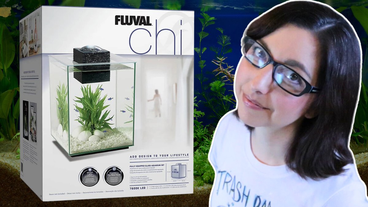 MyHecticLife82's tweet photo. Fluval Chi 5 Gallon Betta Fish Tank Unboxing And Initial Review | Tuesday Tank Reviews https://t.co/kbLjkEdNxC #FishTank #aquarium https://t.co/EcTrvfe8iu