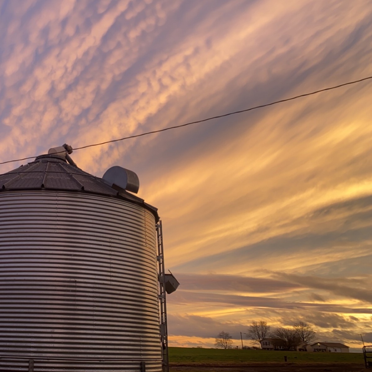 Welcome to January and to 2024. We trust you've got your Daily Dairy Calendars up and can see our first gorgeous photo of the year. Thanks to Cathleen Wastler of Maryland for submitting "Silo and Sky" to kick our year off!

#MDVAMilk #MDVAFamilyFarms #Photography #farmlife