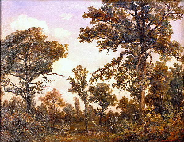 The Large Oak Tree, Forest of Fontainebleau wikiart.org/en/theodore-ro…