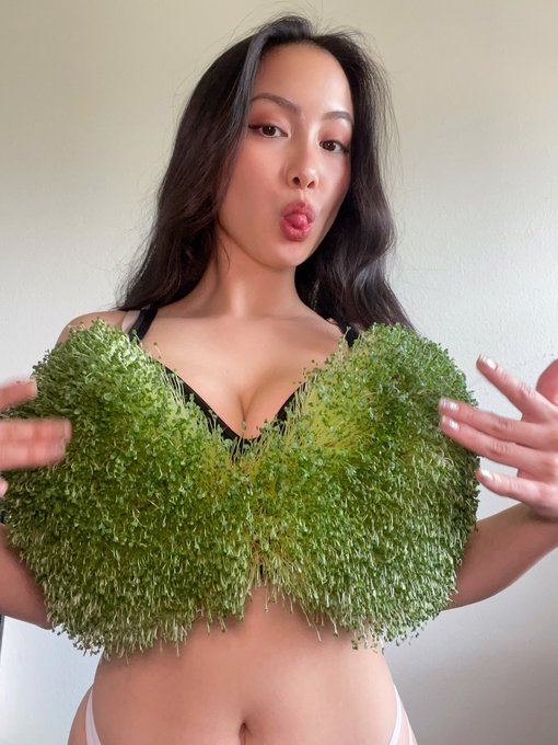 go out &amp; touch some grass bro the grass: https://t.co/eRAtIMSaWi