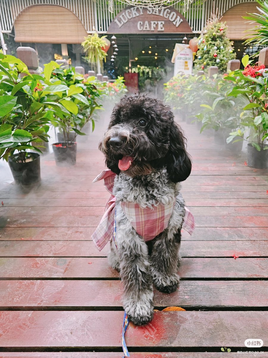 haocurious's tweet photo. everybody say happy birthday tauhuay https://t.co/dbQ1NjsvxX