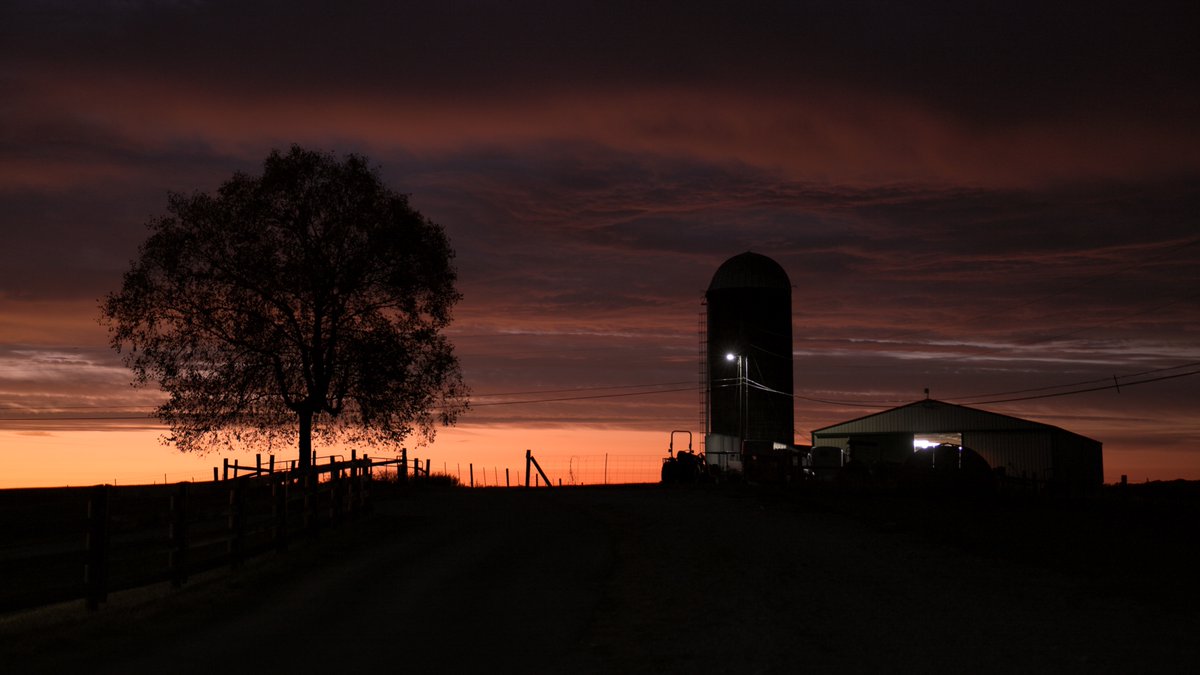 Happy 2024, y'all! 

If you picked up a 2024 calendar from us, make sure to hang it up and enjoy this beautiful view of the Harold R. Benson Research and Demonstration Farm for the rest of the month. 

We can't wait to serve you this year!
