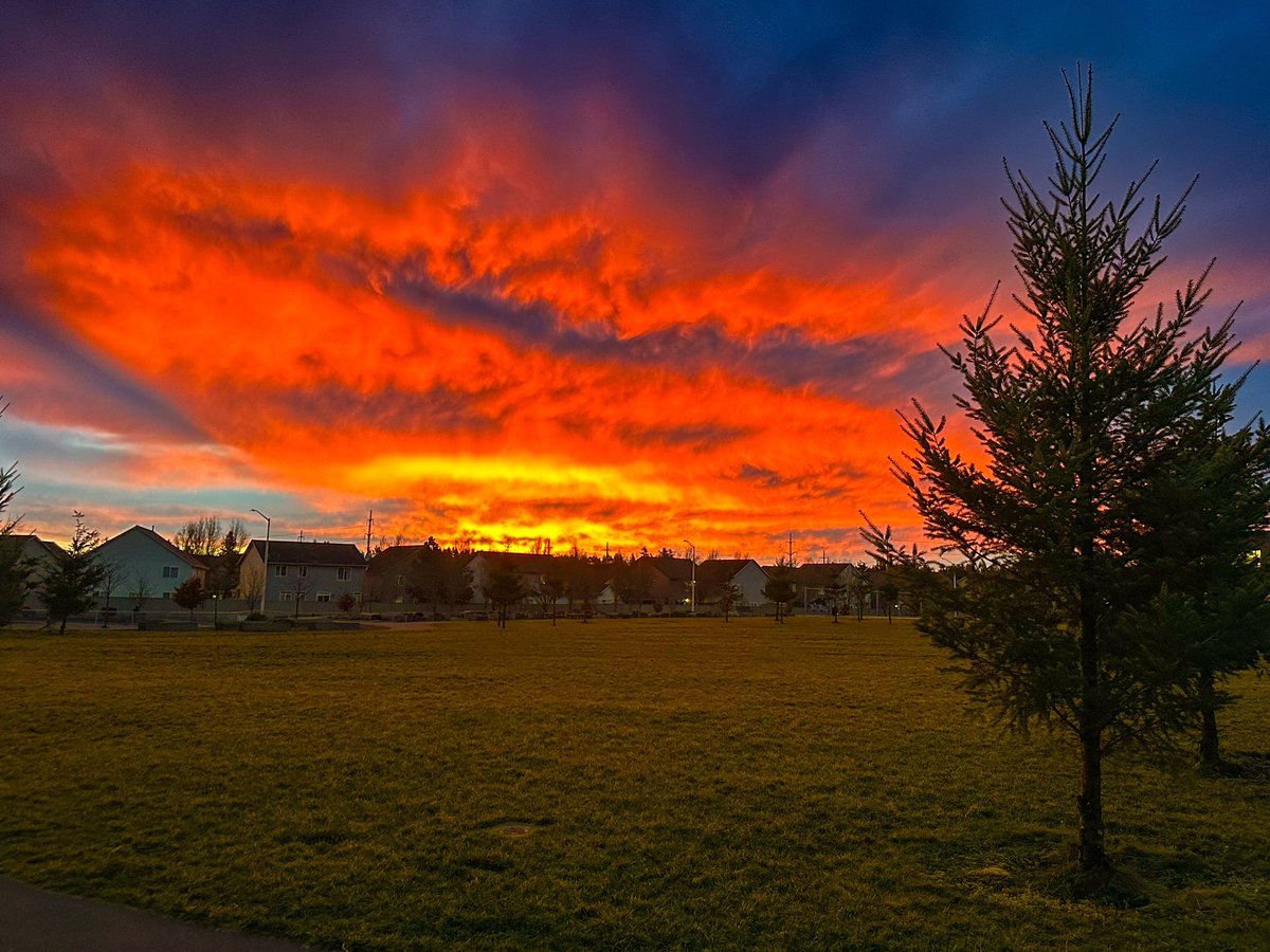 Sky was on fire this morning. Everything on the ground was reflecting a red tint. I love when you can see #MtHood shadow. #sunrise #fireinthesky #fire