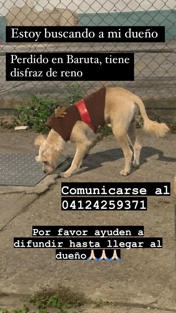 asopraes's tweet photo. Por favor, ayuda 🙏 https://t.co/r9ofcaNAZB