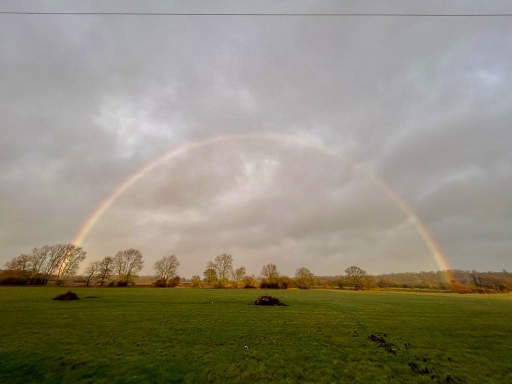 Fibrex Nurseries (@fibrexnurseries) on Twitter photo A rather grey day on the nursery today with lots of rain. We did however get this lovely treat… a very vibrant rainbow just as we were finishing up. 🌈 🌧️ ☀️ A rather grey day on the nursery today with lots of rain. We did however get this lovely treat… a very vibrant rainbow just as we were finishing up. 🌈 🌧️ ☀️
