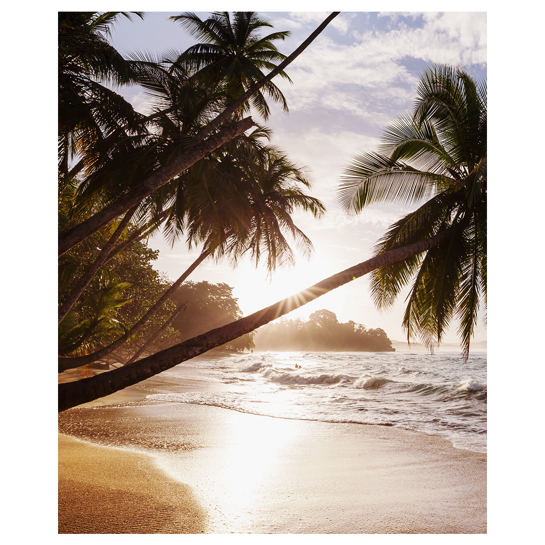 kontikiX's tweet photo. Visit remote and off-the-beaten-path destinations, revealing the hidden treasures of Costa Rica's coastline, and discover secluded coves and pristine beaches only accessible by boat. #SmallLuxuryHotels #AboveSeaLevel https://t.co/MdWKmp7eoJ