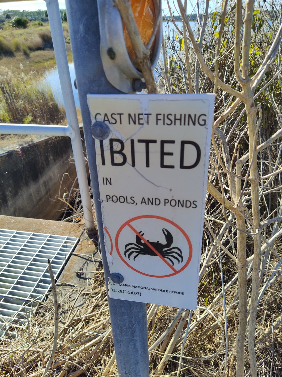 Jeff VanderMeer tweet media