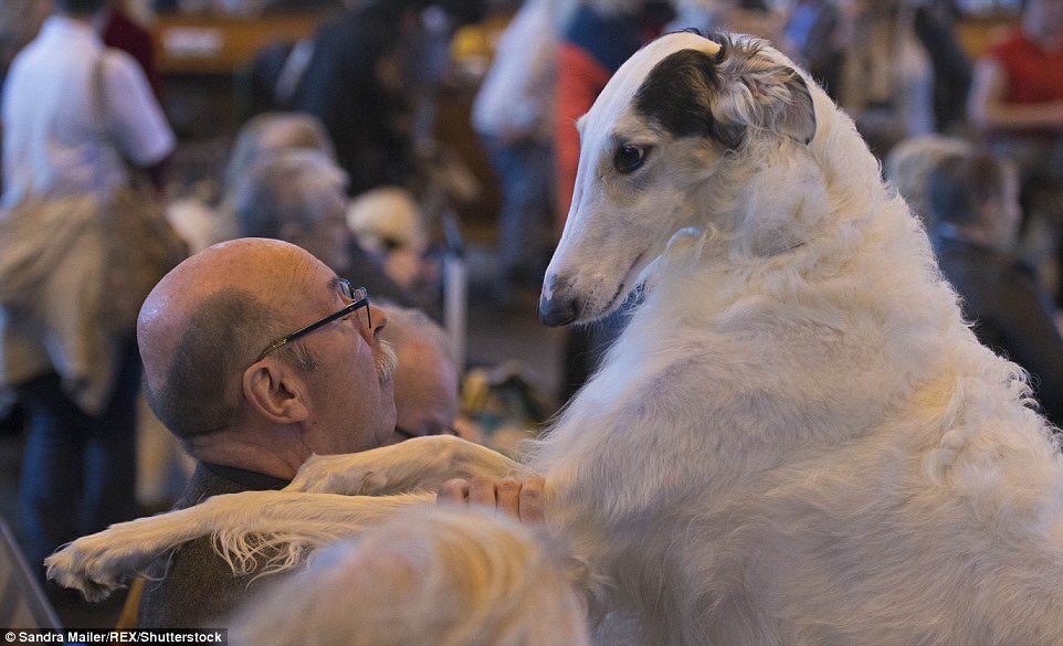 Aheem…
Show me ur fursona