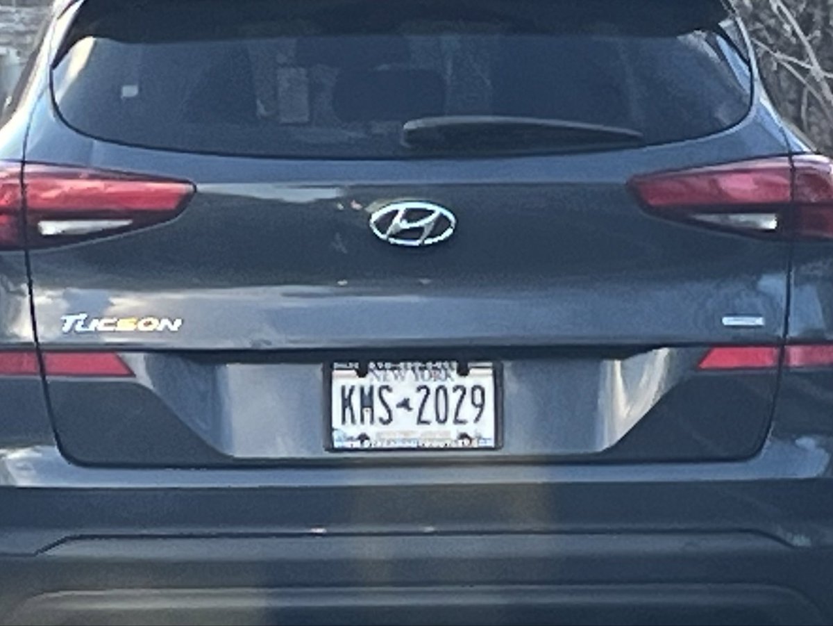 DanFinegold's tweet photo. When someone asks about my 5 year plan https://t.co/S98Stjrr7K