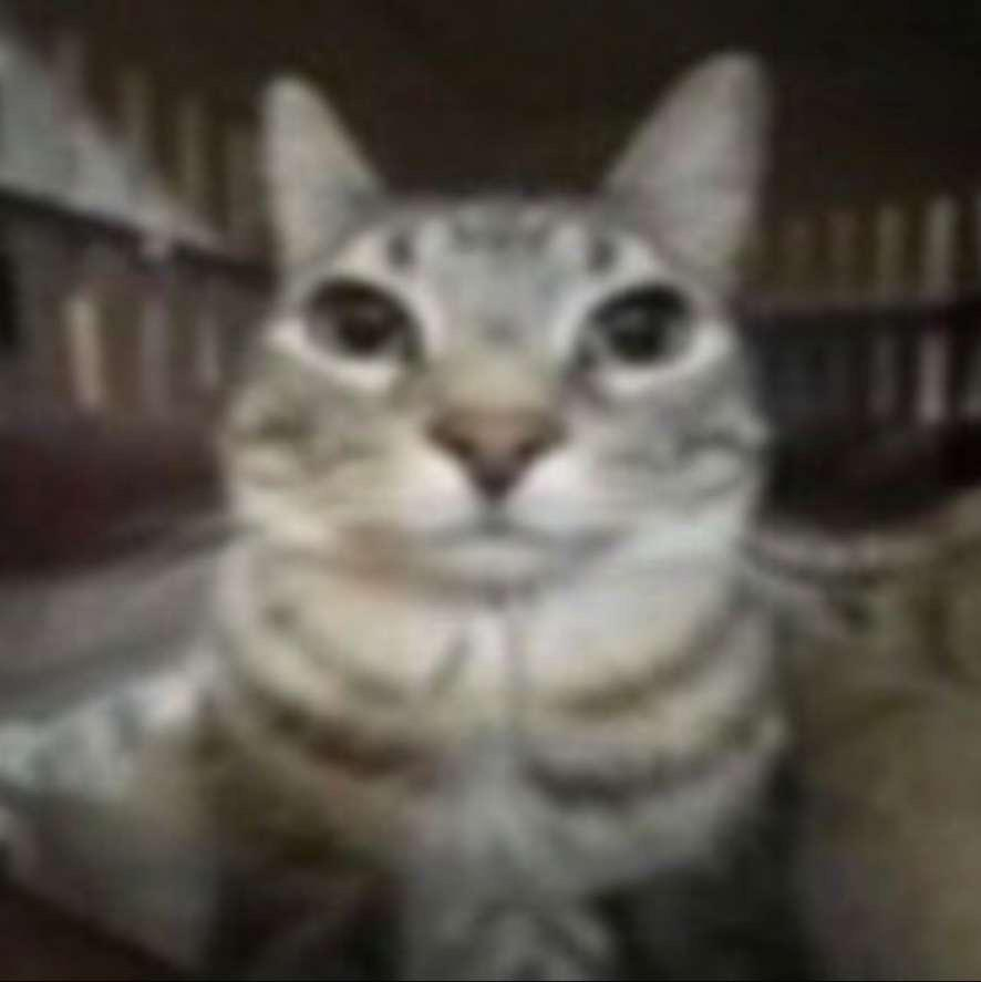 NotADefect's tweet image. zerogōki.⠀

it won against hi-fi rush...