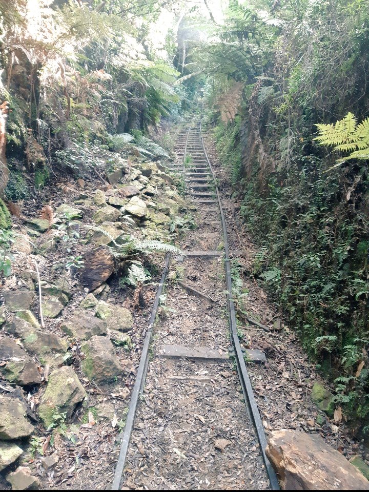 uselessdirge's tweet photo. @dilaedathon Wairongomai Valley is also a great walk when you're in that area, and much quieter.

Exploring the old gold mining infrastructure is great, and climbing the funicular incline is always a challenge! https://t.co/npEW2eWkMg