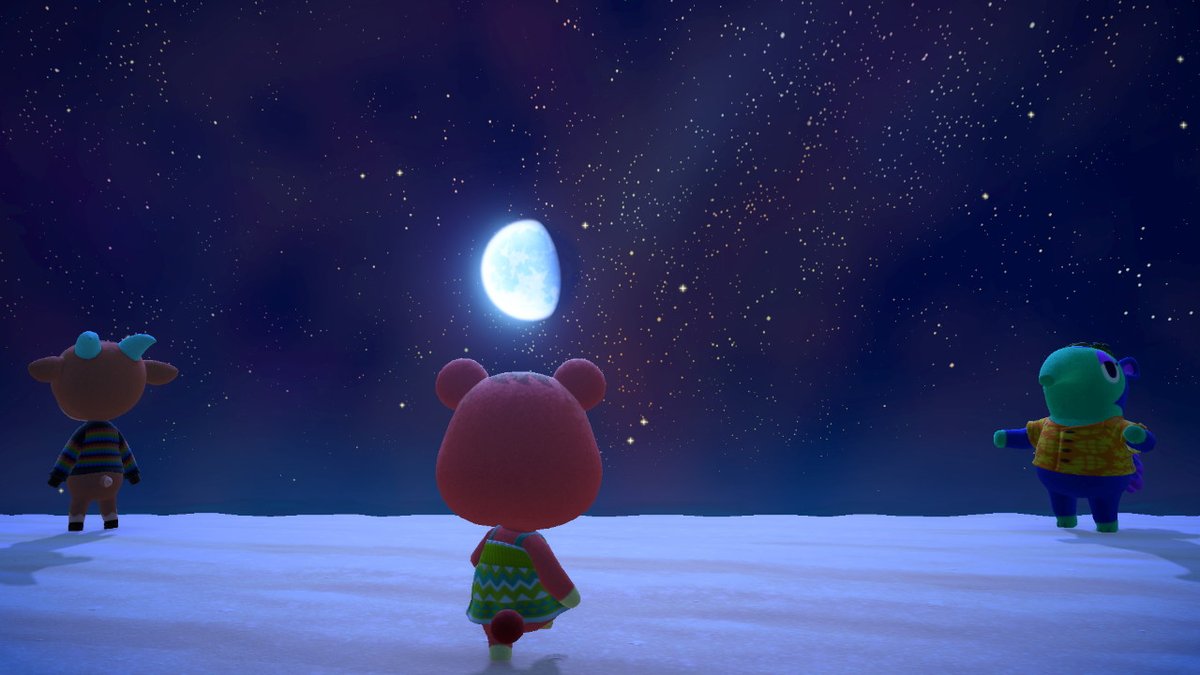 LemmyFan123's tweet photo. #AnimalCrossing #ACNH #ACHHP #NintendoSwitch https://t.co/NVvR4SpCmy