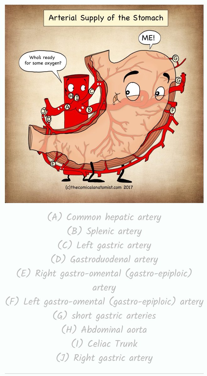 OGdukeneurosurg's tweet photo. From comical anatomist with answers https://t.co/Br7UMrVOuI