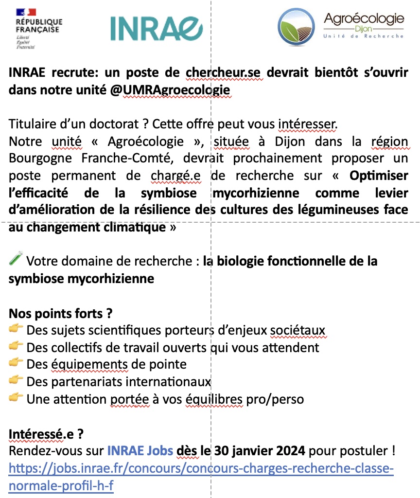 INRAE recrute : un poste de chercheur.se devrait bientôt s’ouvrir dans notre unité @UMRAgroecologie sur 'L’efficacité de la symbiose mycorhizienne comme levier d’amélioration de la résilience des cultures des légumineuses face au changement climatique'🍄🌱 ⌚️30/01/24