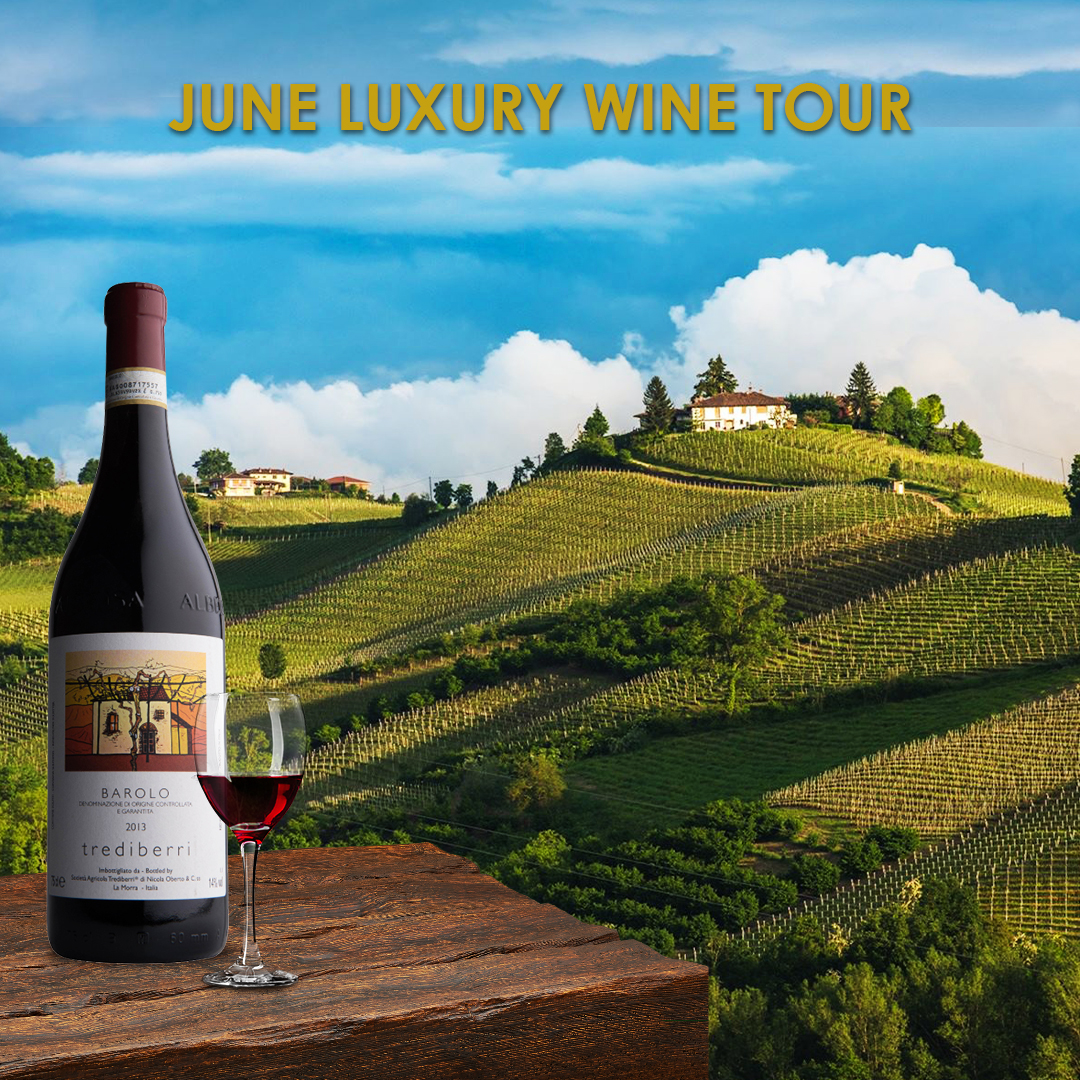 FineVintageWine's tweet image. Can’t wait to go truffle hunting in Piedmont in the morning and then feast on my haul at lunch, washed down by copious amounts of fine Barolo.
That’s just one experience on our luxury wine tour this June. 📷
#piedmont #barolowine
#winetours #luxurywinetour