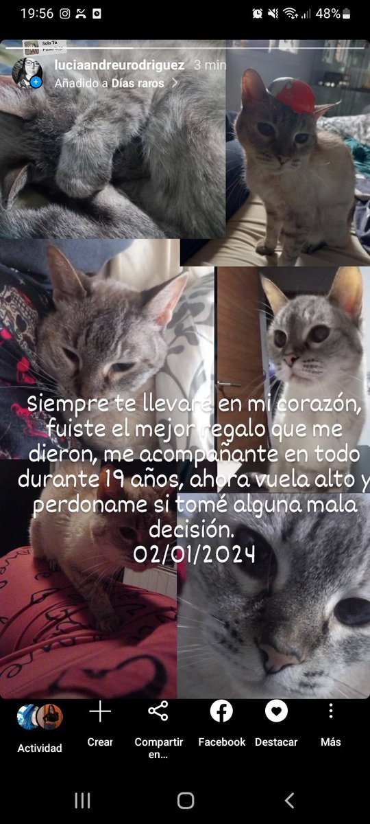 LuluMaChe's tweet photo. Hasta aquí llegamos compañera ! Solo puedo dar gracias por tu compañía infinita, media vida juntas. https://t.co/UjlWrQLfRF