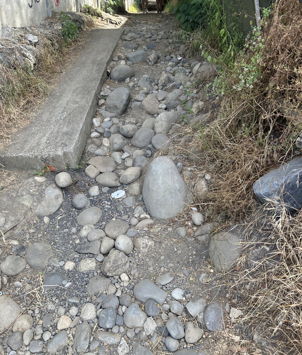 casaez's tweet photo. @VillarricaMuni considerar  mantenimiento del acceso / bajada a playa Calfurray en forma ‼️ el estado actual afecta a todxs quienes disfrutan del lago! / Aseo y Ornato de la Municipalidad debe asignar recursos para mantenimiento. @CotedelaCerda @villarricaldia @MinisterioBBNN https://t.co/XG9laUsztv