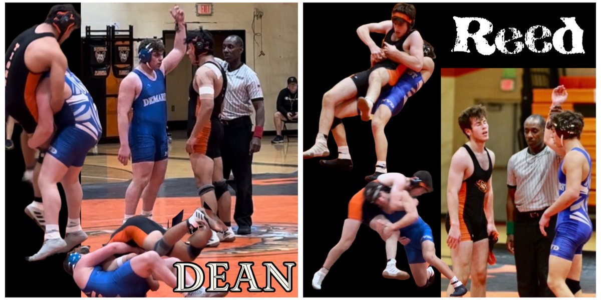 Ele Kauderer tweet media