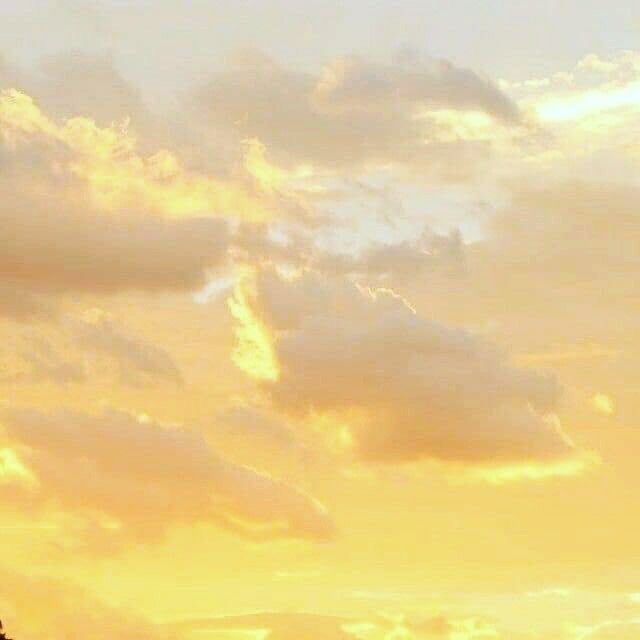 povtive's tweet photo. drop a “?” in the comments for a color. search on Pinterest and the first four photos are ur aesthetic!

i got yellow 🌻 https://t.co/OFE4WM24YT