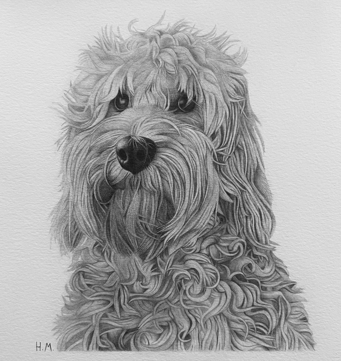 Hello 2024 🐾
First post of the year goes to this cute curly girly named Lottie. She took around 70 hours to complete on A5 paper and I’m very happy with how she turned out! All those detailed curls really do make the difference in the final product. Onto the next commission! ✍️
