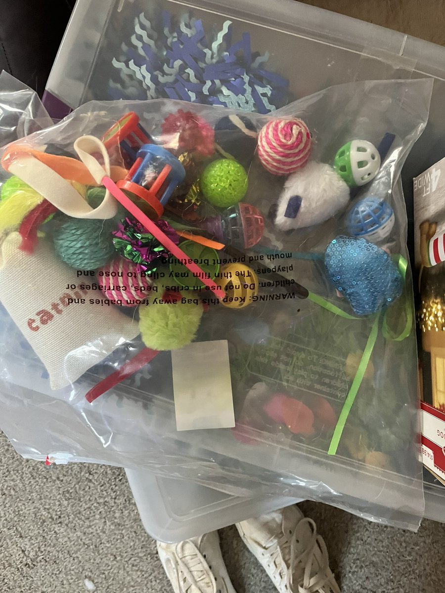 emilyeich7's tweet photo. Meatball says thank you to @Chewy claus for the Christmas gifts! https://t.co/RsvSEoIxNA