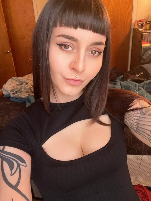 I have a lovely hotel room booked tomorrow for a shoot, if anyone would like to make a booking tomorrow<a href="/tag/mvsales"class="tags"><span>#mvsales</span></a>