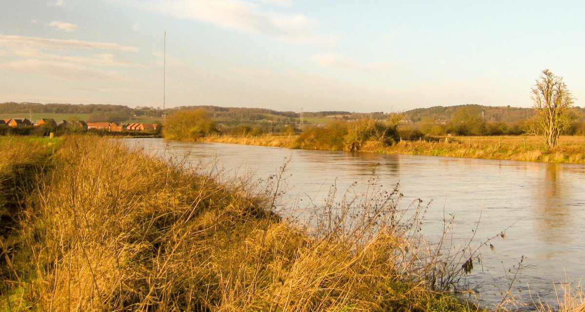 grebo1972's tweet image. (4/8) #Tamworth #Hopwas #Staffordshire #RiverTame #Canal #wintersunshine #ramble #river #water #CoventryCanal #winter #NewYearsDay