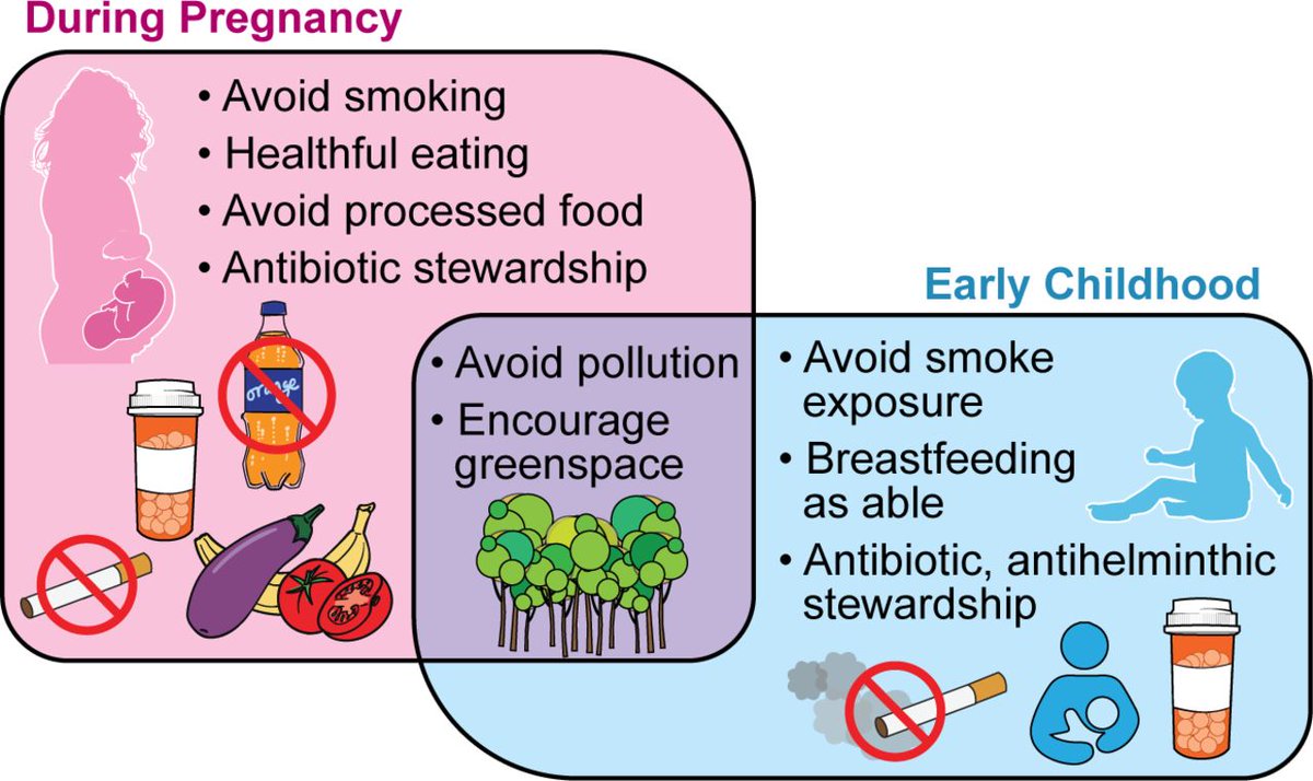 #RecentAdvancesInBasicScience paper now online by @linzhang8385 @manasiagrawalmd @Siew_C_Ng @DrTineJess on 'Early-life exposures and the microbiome: implications for IBD prevention' via bit.ly/48mqTVs @PREDICTIBD #IBD #GUTImages #Microbiome