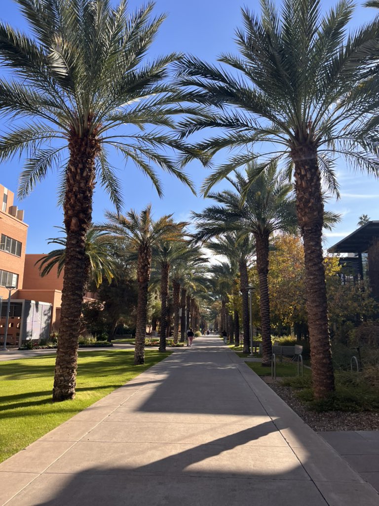 TheSunDevils's tweet photo. January in Tempe >>>>

#ForksUp /// #O2V https://t.co/2PW07p72DV