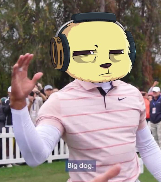 Welcome to PS @JPegchasing101 💀