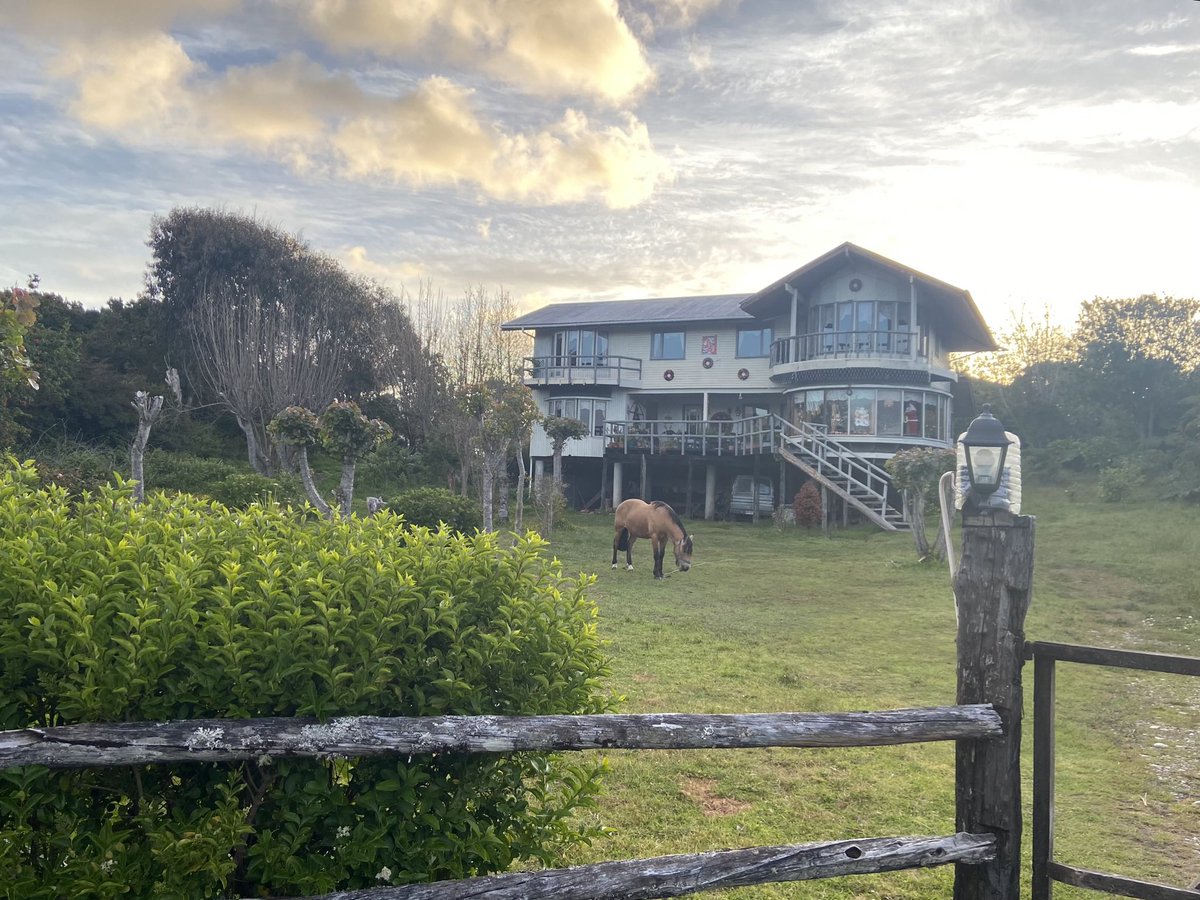 valdivianopcion's tweet photo. 🐎 A iniciar el año calendario y laboral-académico con un recuerdito de hace unas semanas por #Cucao en #Chiloé 💭 https://t.co/qKdhurifQE