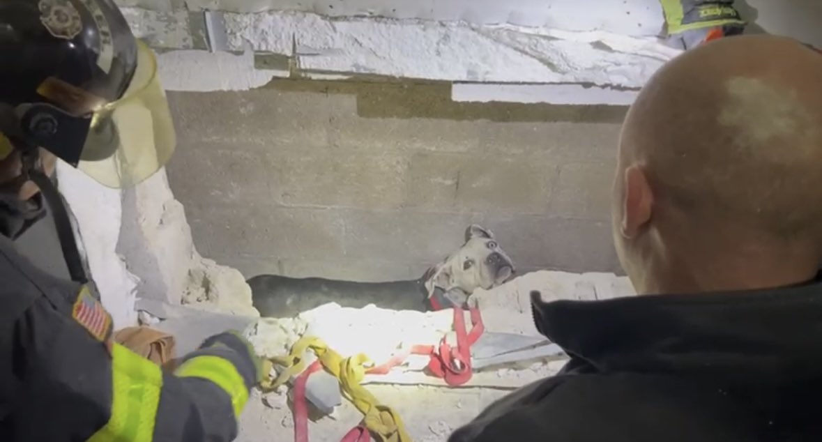 City of Hialeah Fire Department tweet media