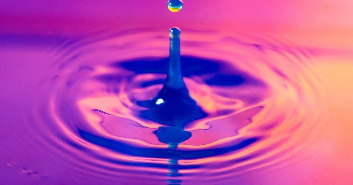 Learn-Elixir.dev tweet media