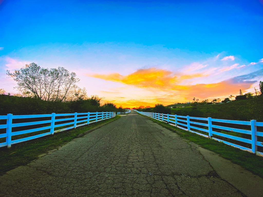 “People with goals succeed because they know where they're going.” — Earl Nightingale

#sandiego #ranchopenasquitos #discoversandiego #exploresandiego  #letsgoplaces #letsgosomewhere #keepexploring #neverstopexploring