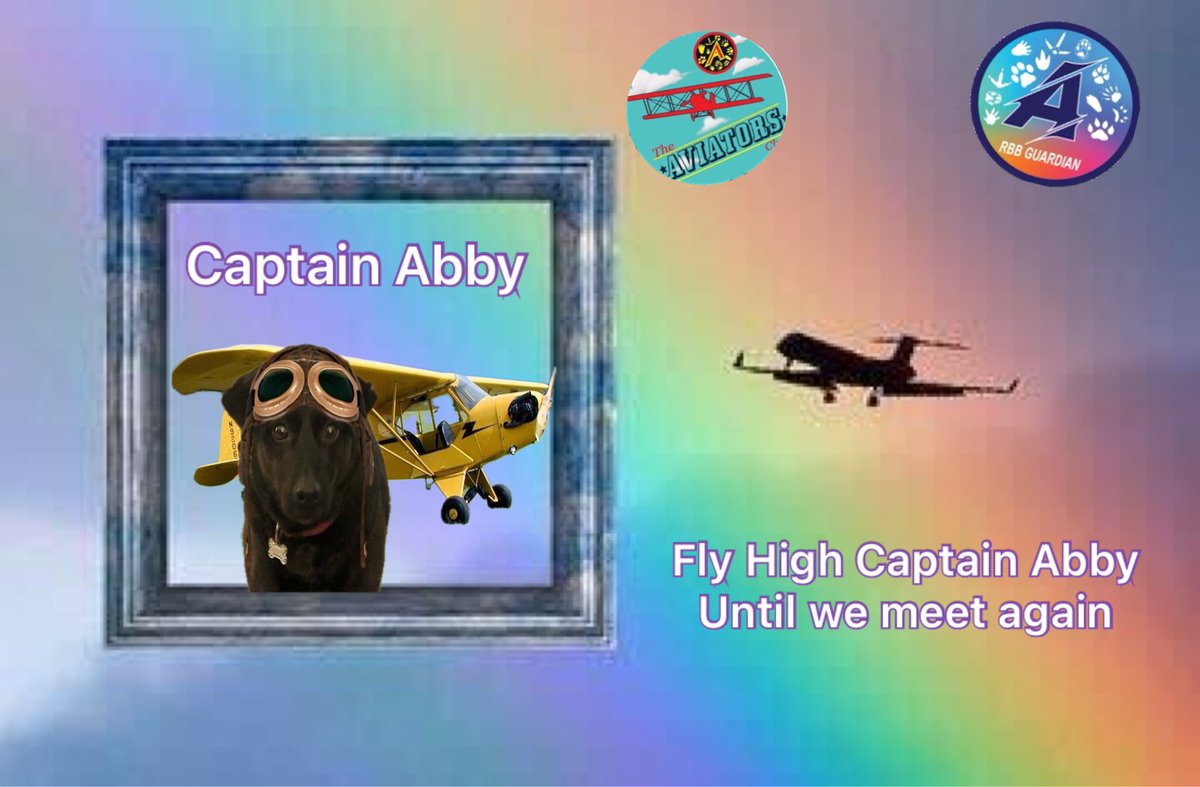 #TheAviators are sad to announce that our Aviator Abby @sweetAbby20 has made the trip to the Rainbow Bridge. Always loved. In our hearts forever. Sending sincere condolences to the family.