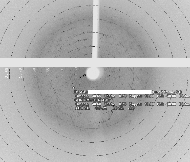 GntlmnScientist's tweet image. First day back at work in 2024, found some nice crystals in trays setup just before Christmas, harvested the nicest (left) and got some ~2.4 Å in-house diffraction (right). I am hoping it'll lead to a new fab-antigen complex structure!  #TeamUCB #crystallography #drugdiscovery