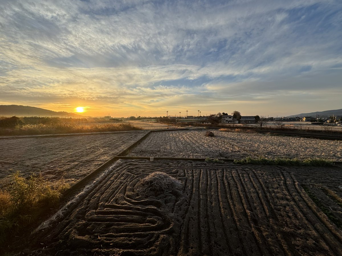 556map's tweet image. 冷えてる朝