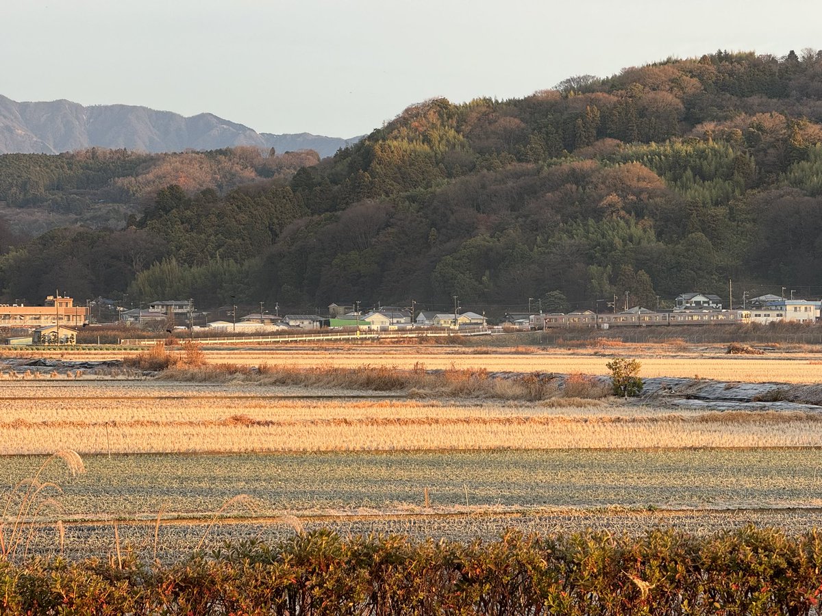 556map's tweet image. 冷えてる朝