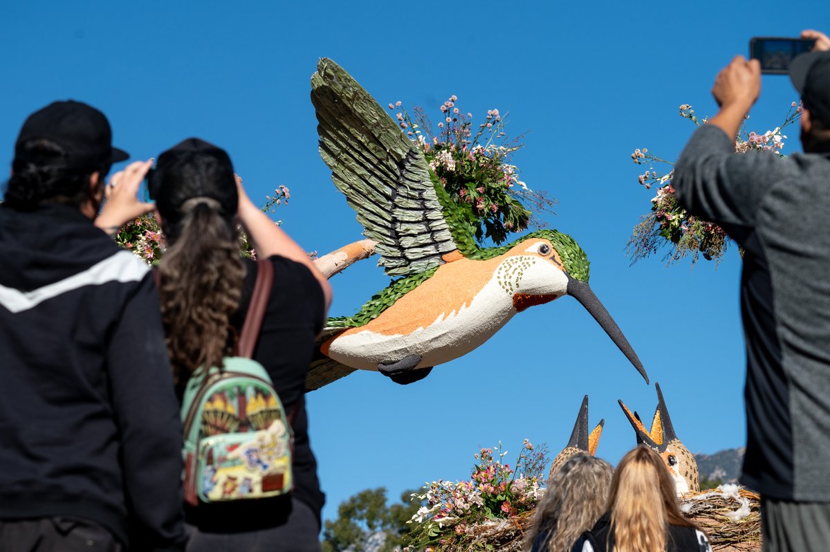 vidcrane's tweet photo. Visitors saw the #RoseParade floats up close at #Floatfest on Tuesday. Visitors could view the Rose Parade floats up close along Sierra Madre and Washington Boulevards in #Pasadena. #rosefloats https://t.co/TTI6rSIPGD
