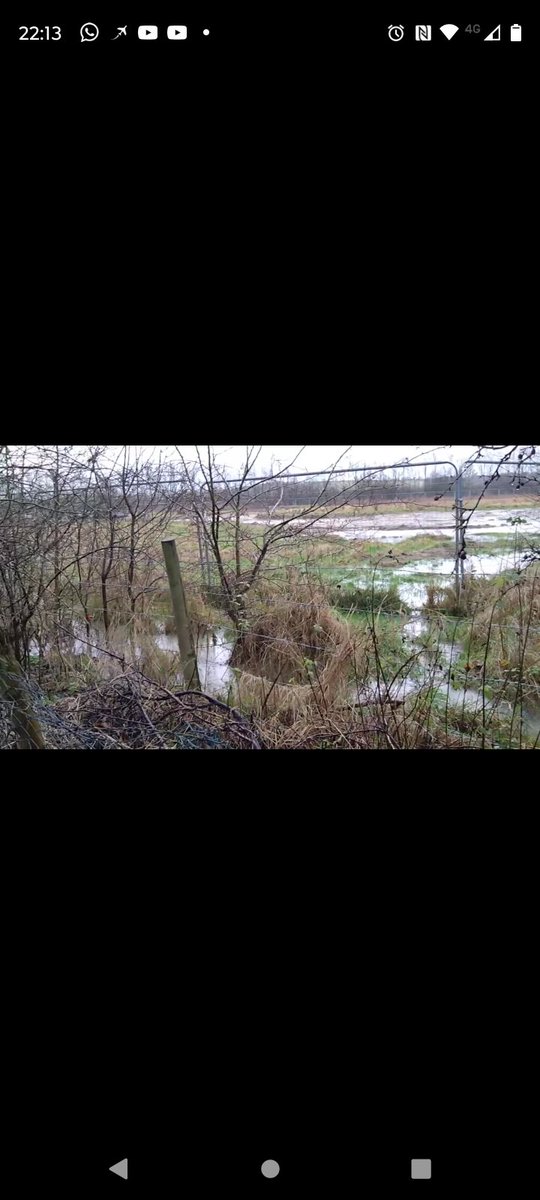 Redrow homes new homes site, Harlington, Beds. They have just started building. Madness. #newhomes #flooding #floodplain